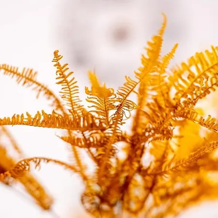 La Maison Charpennes-appartement Fougere 6 Pers Apartman *